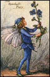 (c.) Cicely Mary Barker